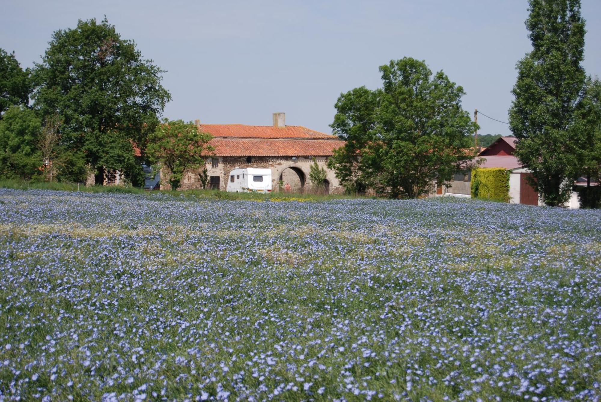 Chambre D'Hote Manoir De La Baudonniere Monsireigne 外观 照片