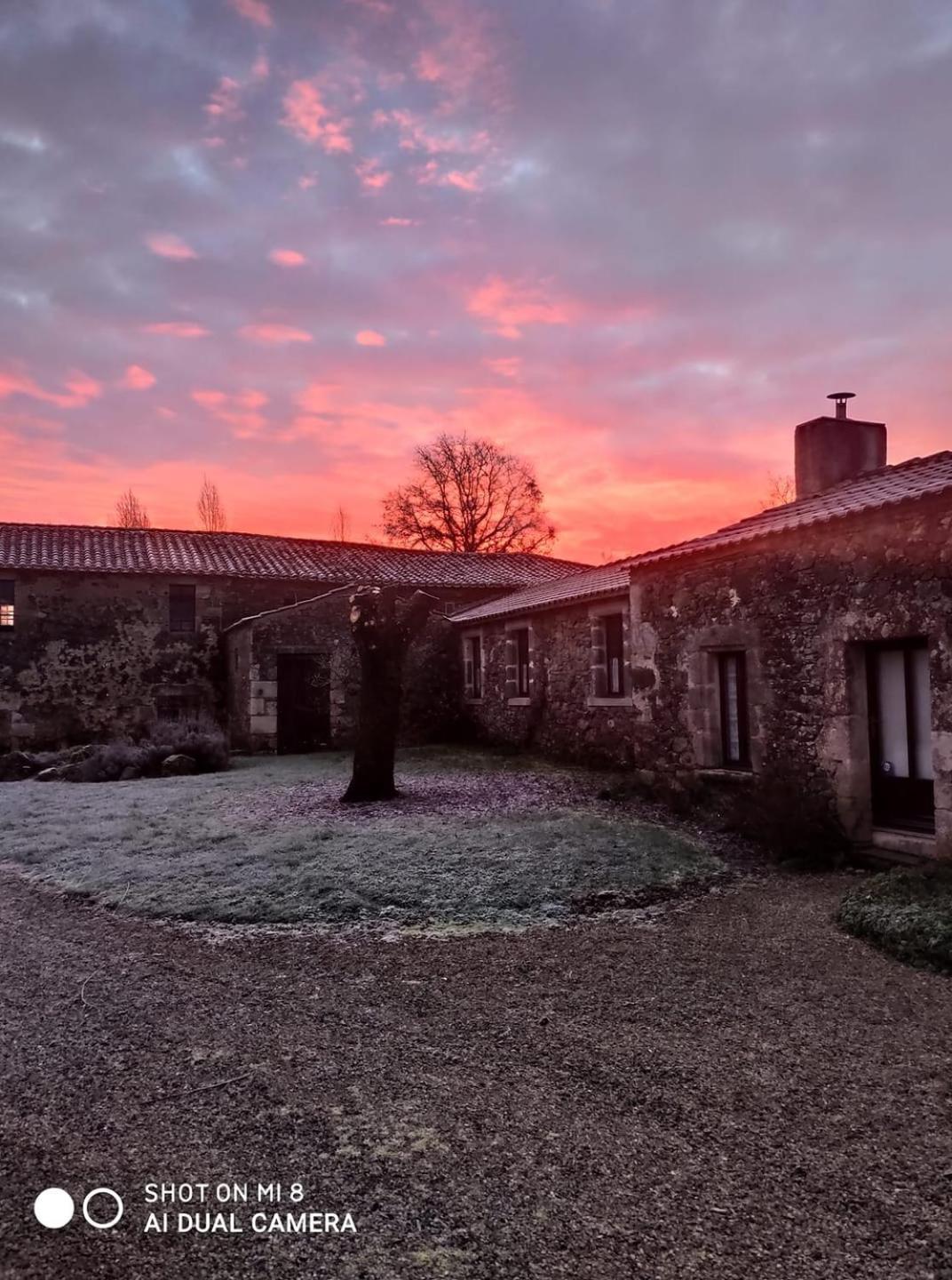 Chambre D'Hote Manoir De La Baudonniere Monsireigne 外观 照片
