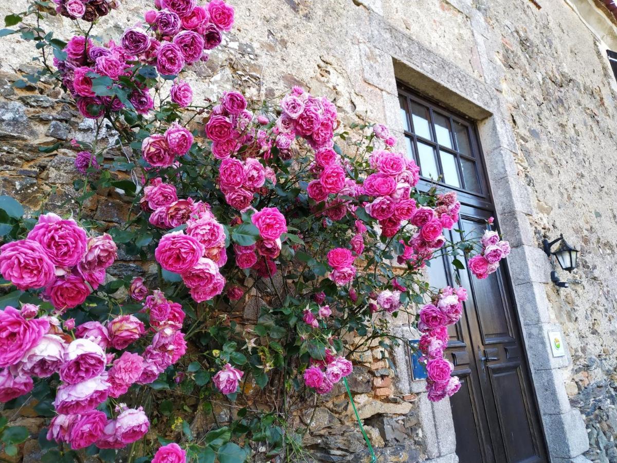 Chambre D'Hote Manoir De La Baudonniere Monsireigne 外观 照片