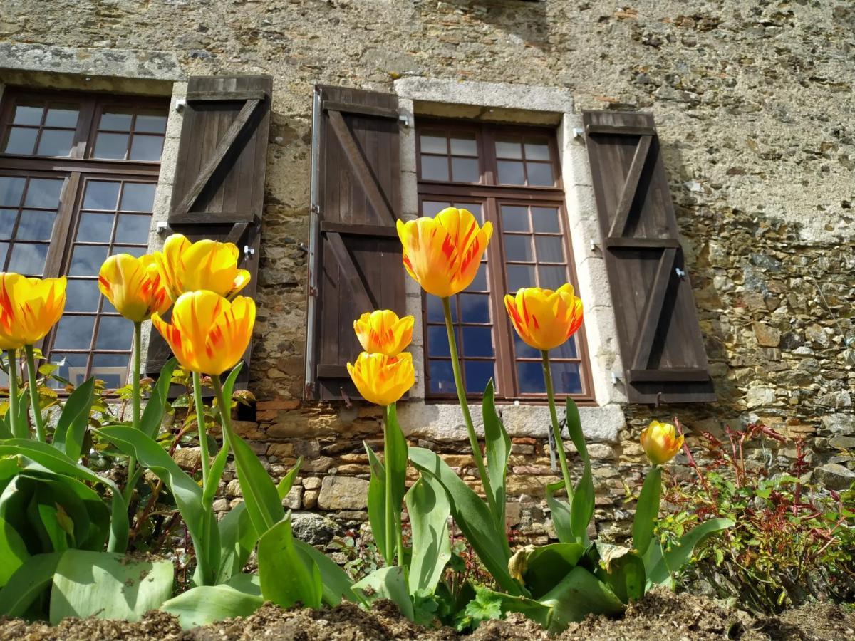 Chambre D'Hote Manoir De La Baudonniere Monsireigne 外观 照片